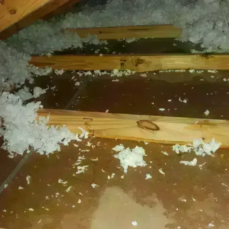 Attic Water Damage in Saratoga County, NY