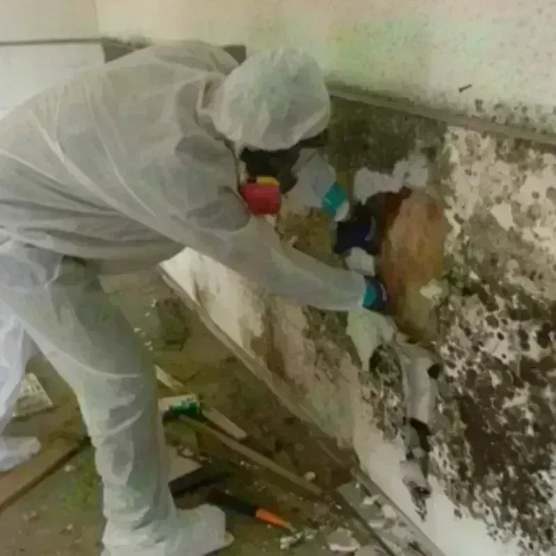 Mold Remediation and Removal in Saratoga County, NY